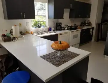 FL Remodeling Services Kitchen (21)