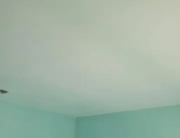 FL Remodeling Services Paint (22)