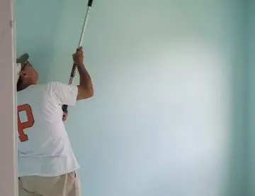 FL Remodeling Services Paint (29)